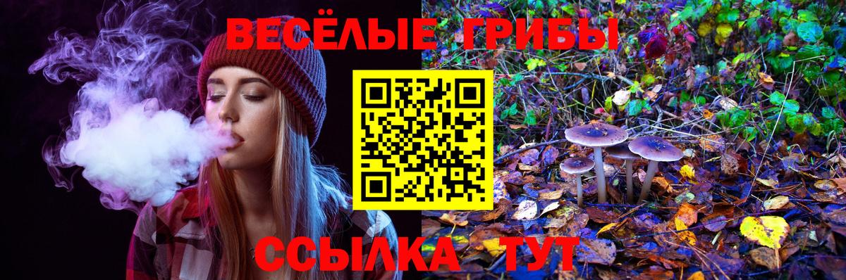 Псилоцибиновые грибы мицелий Тында